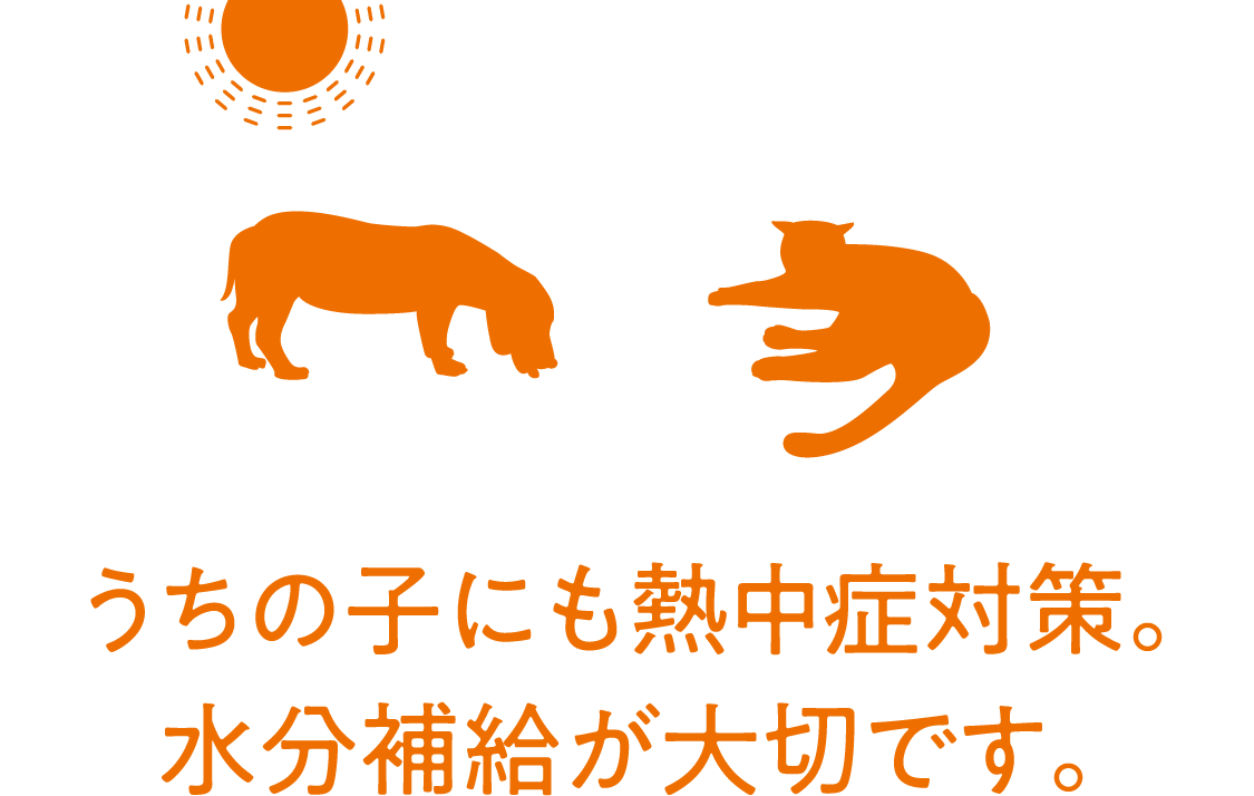 うちの子にも熱中症対策。水分補給が大切です。